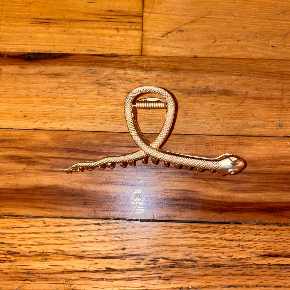 Snake Claw Hair Clip